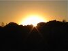 Still setting